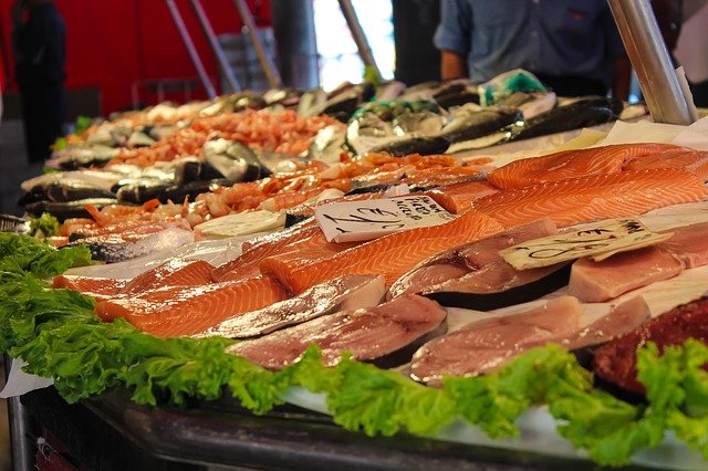 prodej kvalitního rybího masa